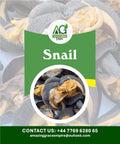 Dried Snail