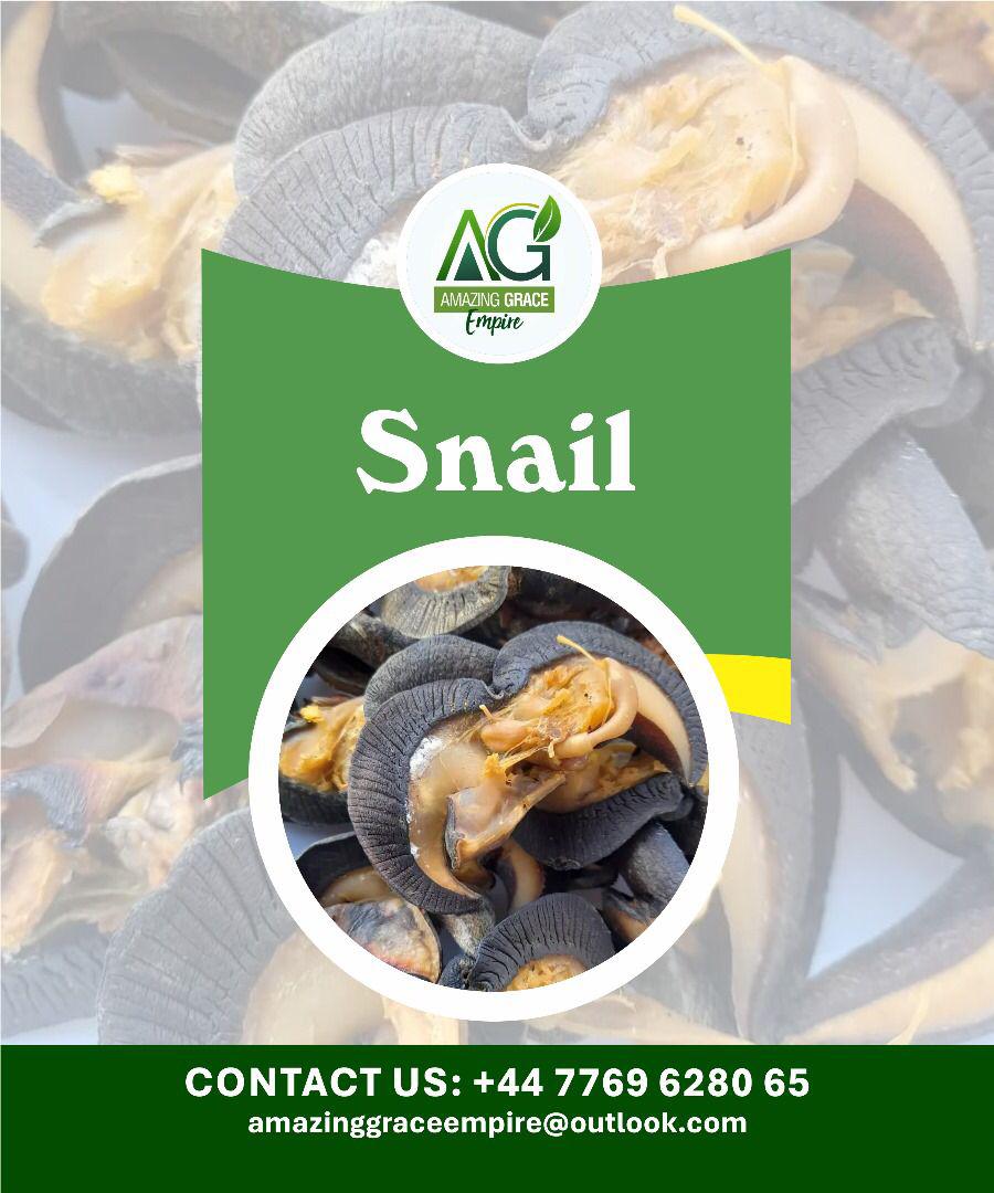 Dried Snail